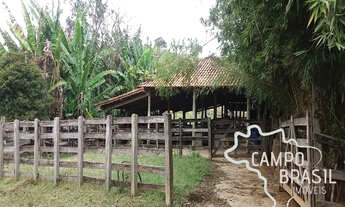 Imagem 4: Campo Brasil Imóveis, realizando seu sonho rural! Sítio com área de 7 alqueires!
