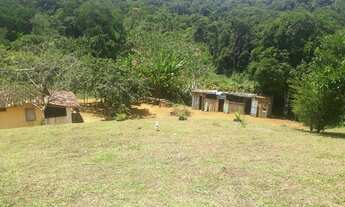 Imagem 4: Vendo Excelente Fazenda Em Gandu