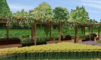 Imagem 4: Condomínio de luxo em aldeia.