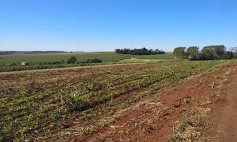 Imagem 4: Toledo - Lote/Terreno - Vila Nova