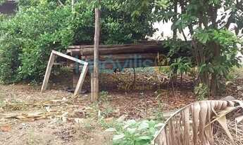 Imagem 5: Terreno à venda - 250 m² - Novo Horizonte - Taubaté/SP