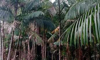 Imagem 3: Sítio Terreno / lote com venda por R$150.000