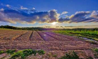 Imagem 2: Belo terreno lá no sul de Cotia - SP