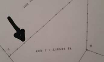 Imagem: Terreno(sítio) em Bariri