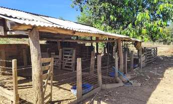 Imagem 7: Fazenda/Sítio/Chácara para venda tem 48000 metros quadrados com 2 quartos