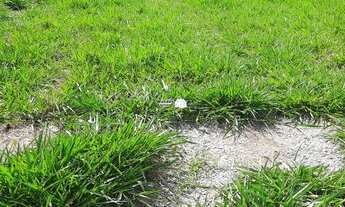 Imagem 3: TERRENO RESIDENCIAL em BRAGANÇA PAULISTA - SP, CONDOMÍNIO RESIDENCIAL CAMPOS DO CONDE