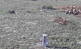 Imagem 3: Lotes na Praia do Presidio ,Pertinho do Mar