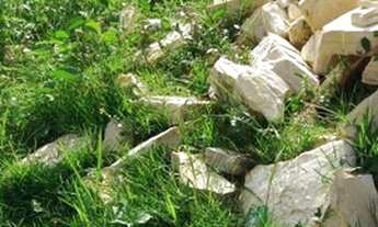 Imagem: Terreno no 18 do forte