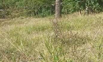 Imagem 6: Vendo sítios em lugar maravilhoso