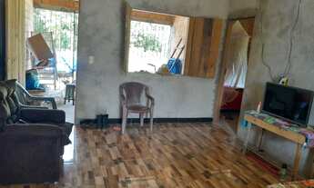 Imagem 7: Grande casa com terreno de 25 mil metros quadrados e arvores frutíferas