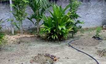 Imagem 4: Vende Se Está Casa