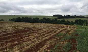 Imagem 5: Toledo - Lote/Terreno - Vila Nova