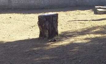 Imagem 2: Aluga-se Casa Nova Cidade R$1.100