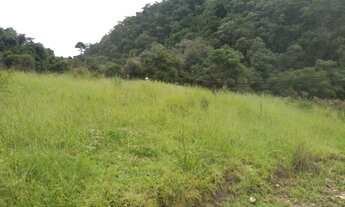 Imagem 3: Sítio de 7 Alqueires, Rico em Água e Terra Fértil!!! - Delfim Moreira/MG