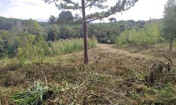 Imagem 3: Terreno Próximo ao centro com Rio