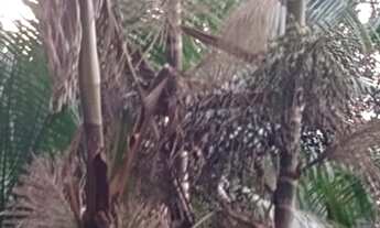 Imagem 4: Sítio Terreno / lote com venda por R$150.000