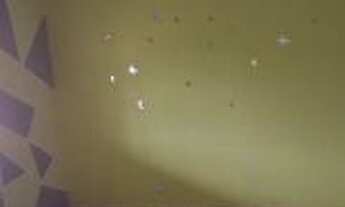 Imagem 3: Casa - 4 Dormitórios - Chácara Florida - A vista