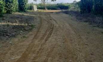 Imagem 3: Vendo Terra no Para