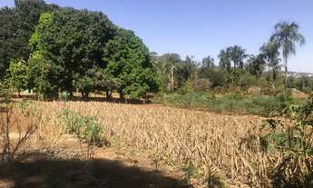 Imagem: Chácara dentro de Goiânia