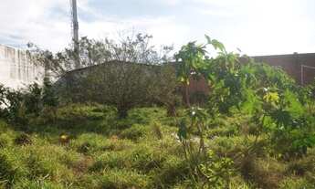 Imagem 4: PORTO ALEGRE - Terreno Padrão - Humaitá