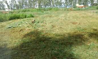 Imagem 2: Lote/Terreno possui 70 metros quadrados em Santo Antônio - Garanhuns - PE