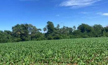 Imagem 3: Toledo - Lote/Terreno - Vila Nova