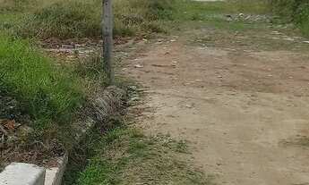 Imagem 7: Terreno em Biguaçu