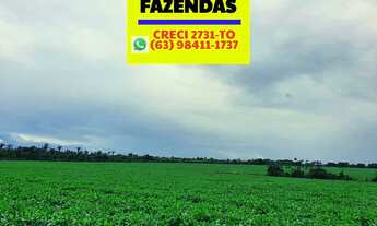 Imagem 6: Fazenda a venda na região de Miranorte