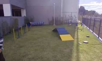 Imagem 7: Living Magic - Rudge Ramos