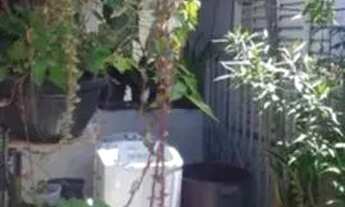 Imagem 7: CASA DISPONIVEL EM IGAPÓ