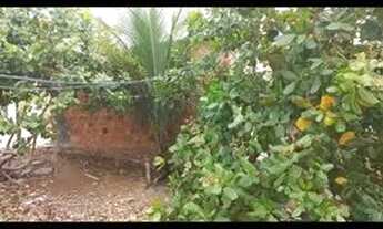 Imagem 3: Terreno com ponto comercial