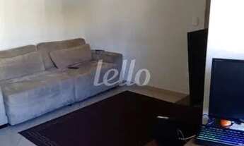 Imagem: Santo André - Apartamento Padrão - Jardim