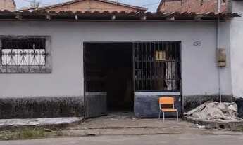 Imagem: Casa no jardim tropical