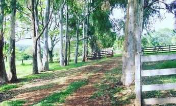 Imagem 4: Fazenda 9,5 Alqueires GOIÂNIA