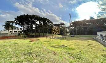 Imagem 7: Terreno à venda, 2976 m² por R$ 1.100.000 - Orleans - Curitiba/PR
