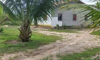 Imagem: Chácara em São Francisco do Pará