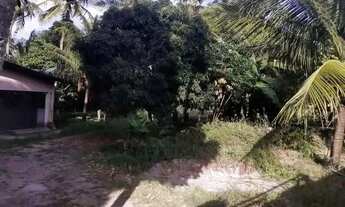 Imagem 3: Granja em oitizeiro