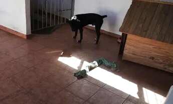 Imagem 5: Apto tipo casa penha 3 quartos aceito carta