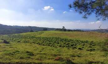 Imagem 3: LOTES DE 500M² Terreno / lote com venda por R$60.000