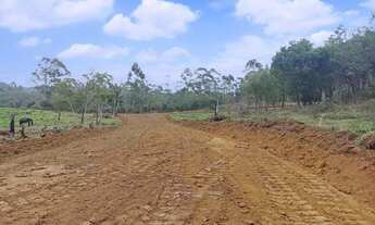 Imagem 3: Terrenos e Chácaras Totalmente Plano Cd. L56