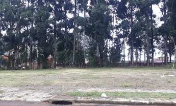 Imagem 3: Terreno bem localizado