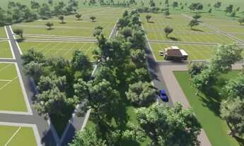 Imagem 3: Lote Tianguá - CE