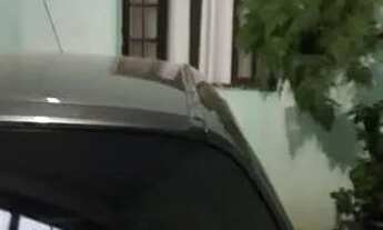 Imagem 5: Sobrado guilhermina esperanca