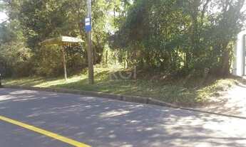 Imagem 5: Terreno para Venda - 2460m², 0 dormitórios, Restinga