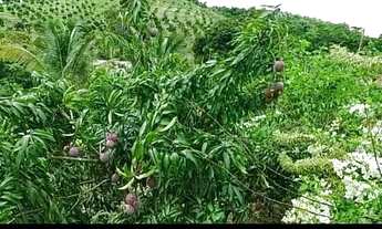 Imagem 3: Sitio em itaborai