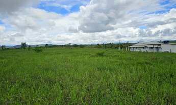Imagem 6: RANCHO COM 7 HECTARES EM SÃO LUIS / FLEXEIRAS