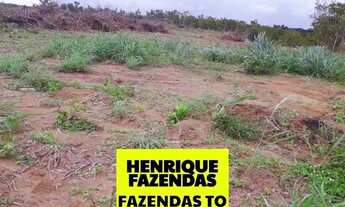 Imagem 4: Fazenda região Vale Araguaia dupla aptidão Tocantins