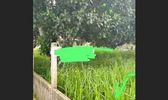 Imagem 2: Vendo terreno Terreno / lote com venda por R$300.000