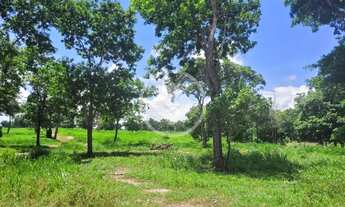 Imagem 7: FAZENDA À VENDA EM ACORIZAL - MT codigo: 111371