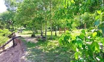 Imagem 3: Chácara para Venda e Locação, Barão Melgaço , Barão de Melgaço, MT